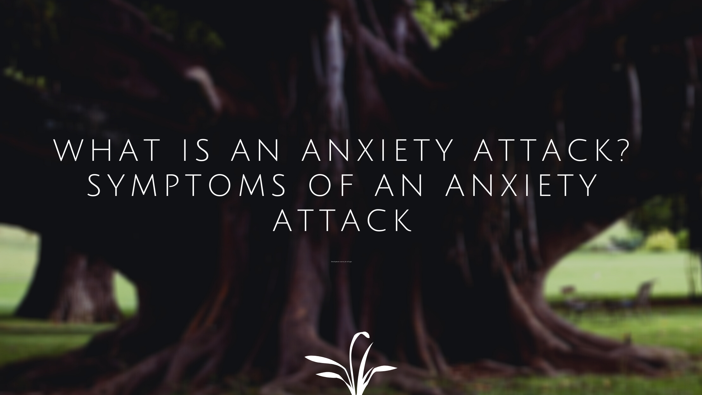 Attack symptoms anxiety