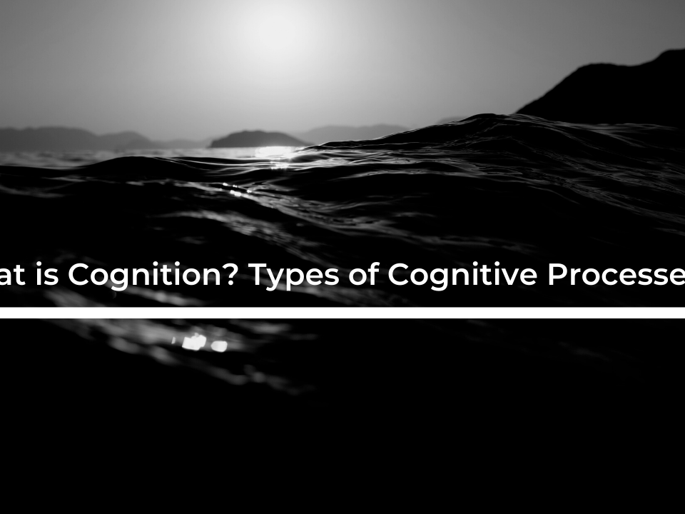 What is Cognition? Types of Cognitive Processes.