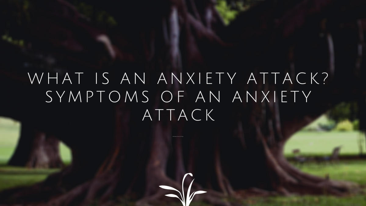 What is an anxiety attack? Symptoms Of An Anxiety Attack.