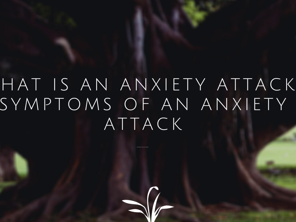 What is an anxiety attack? Symptoms Of An Anxiety Attack.